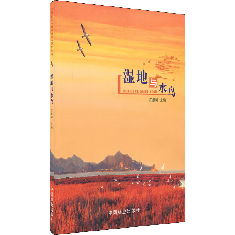 湿地与水鸟 庄晨辉 编 书籍