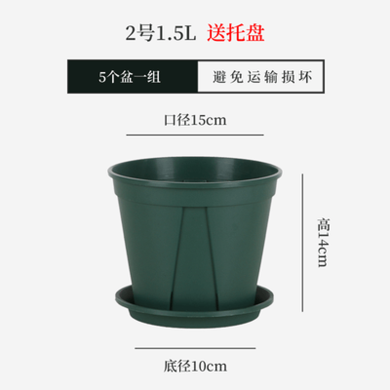 不窝根月季铁线莲加仑盆适合月季玫瑰树脂花 2号外口径15cm(5个装)