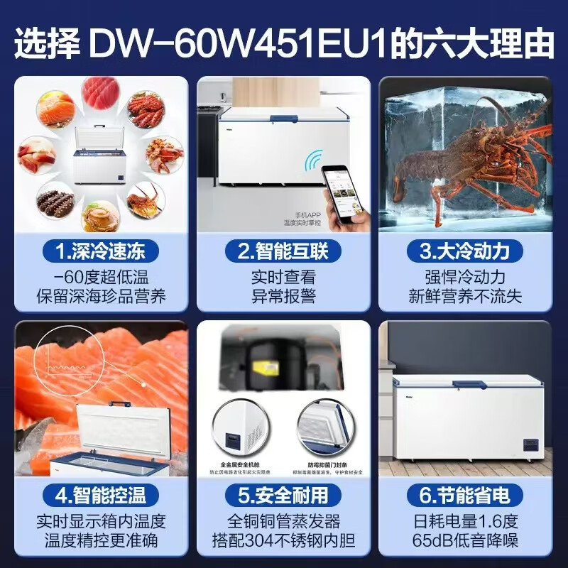 海尔(Haier)零下-70/-60°C度超低温冰柜家用商用大容量冻金枪鱼三文鱼海鲜深冷速冻实验室高端酒店细胞级冷柜 零下65度+304不锈钢内胆+WIFI互联 451升
