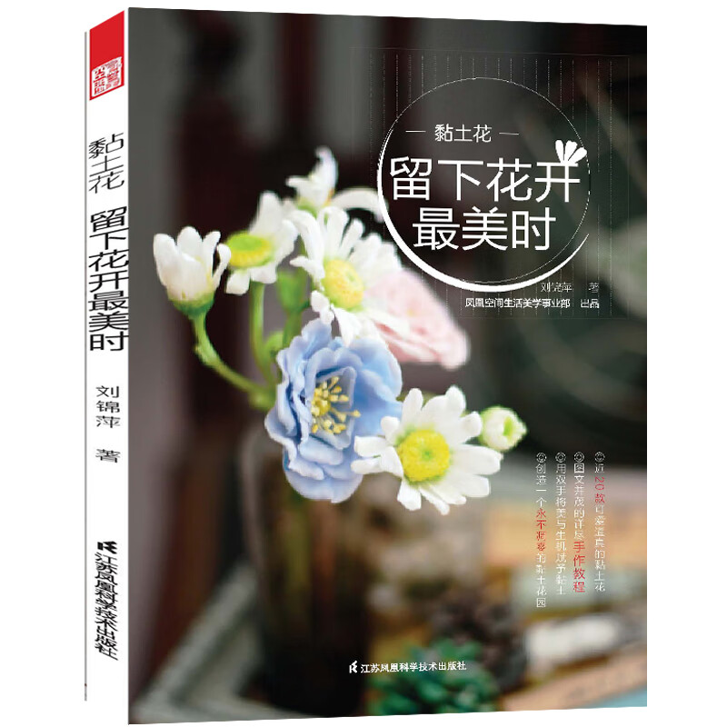 黏土花——留下花开美时 娱乐/休闲 刘锦