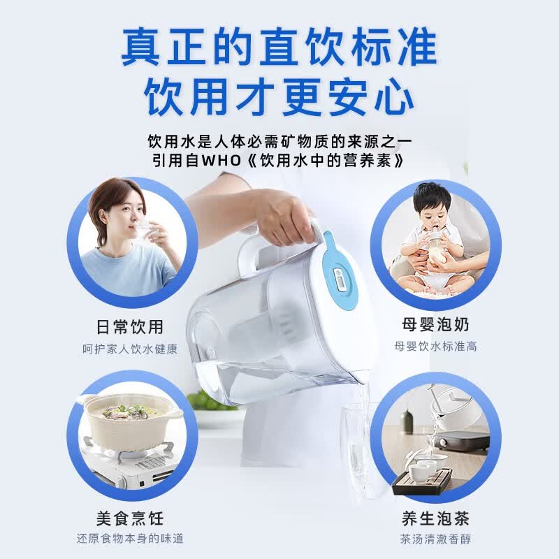聚蓝(bluetech) 净水壶家用过滤水壶双芯长效去水垢除氯除菌直饮标准滤水器4.2L大容量 畅想全年装【1壶11芯】温雅白 默认182
