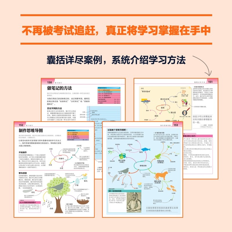 DK高效学习法详情图