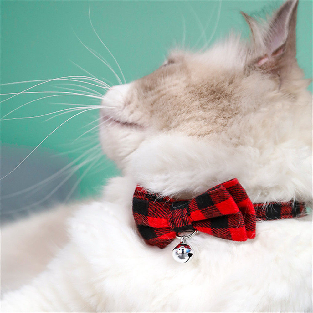【工厂直发】猫咪铃铛项圈英伦风方格领结狗狗牵引绳遛猫绳可调节宠物