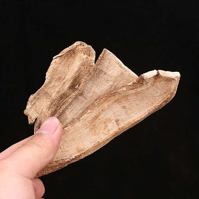 三分三中药材500克 山野烟 中药材 山茄子 大搜山虎 野旱烟