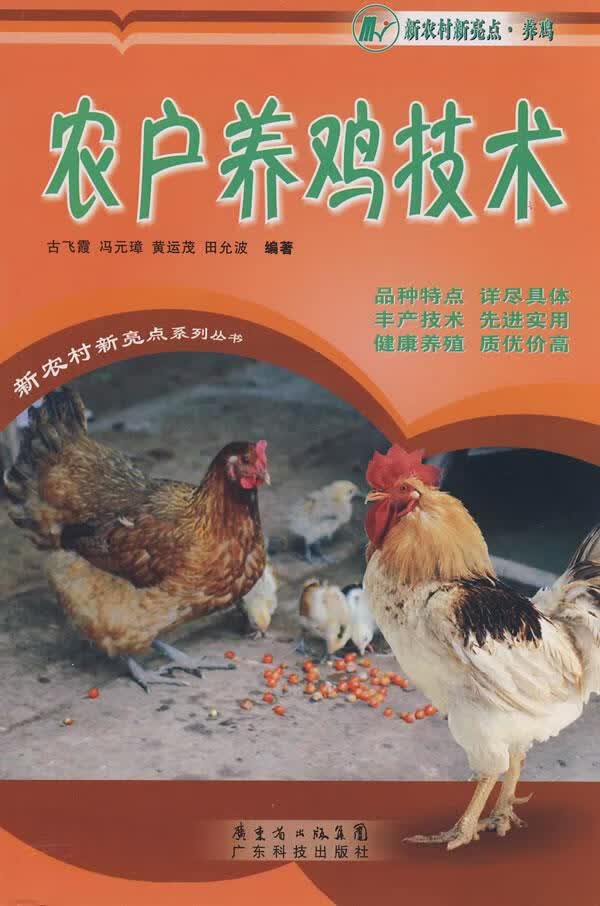 农户养鸡技术