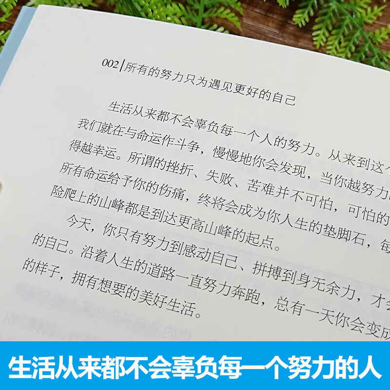 6册将来的你一定感谢现在奋斗的自己 我偏爱少有人走的路 愿你的生活既有善良又有锋芒 没有伞的孩子，必须努力奔跑详情图