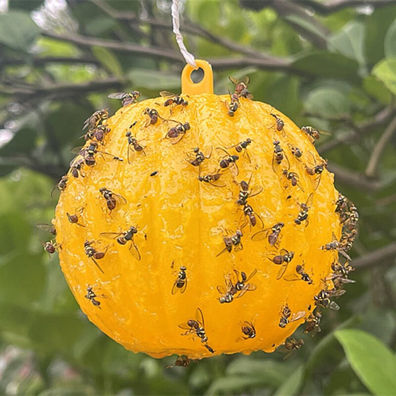 诱蝇球柑橘大实蝇粘虫球诱捕神器针锋药果蝇引诱剂瓜果实蝇诱粘剂 诱