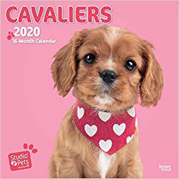 【预订】cavaliers 2020 square wall