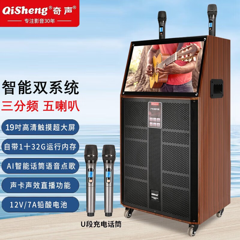 奇声(qisheng)户外广场舞音响带触摸显示屏家用ktv点歌视频机三分频5