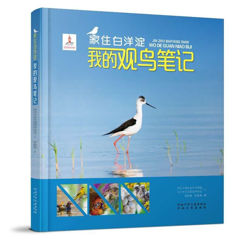 我的观鸟笔记：家住白洋淀 