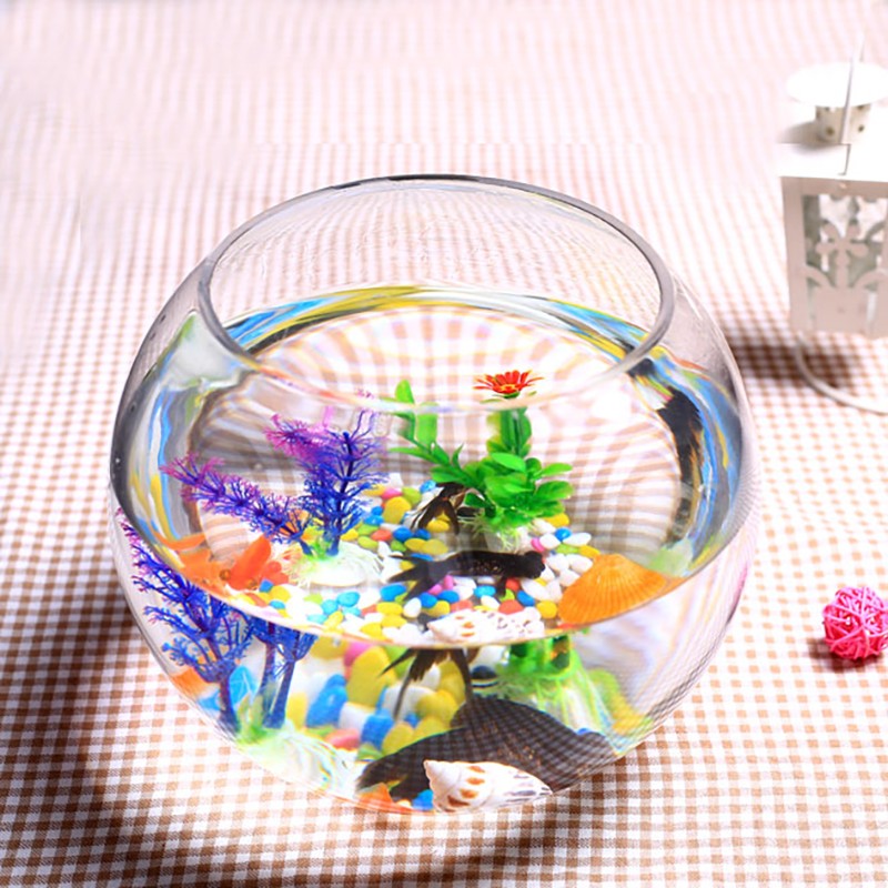 宝贝故事（BABY STORY）小鱼缸 小型水族箱办公室桌面创意圆形玻璃小鱼缸迷你金鱼缸 35cm圆球（假草+彩石+鱼食+贝壳）