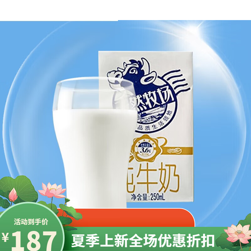长富纯牛奶250ml*24盒整箱精品奶常温营养高品质早餐奶 天然牧场牛奶2