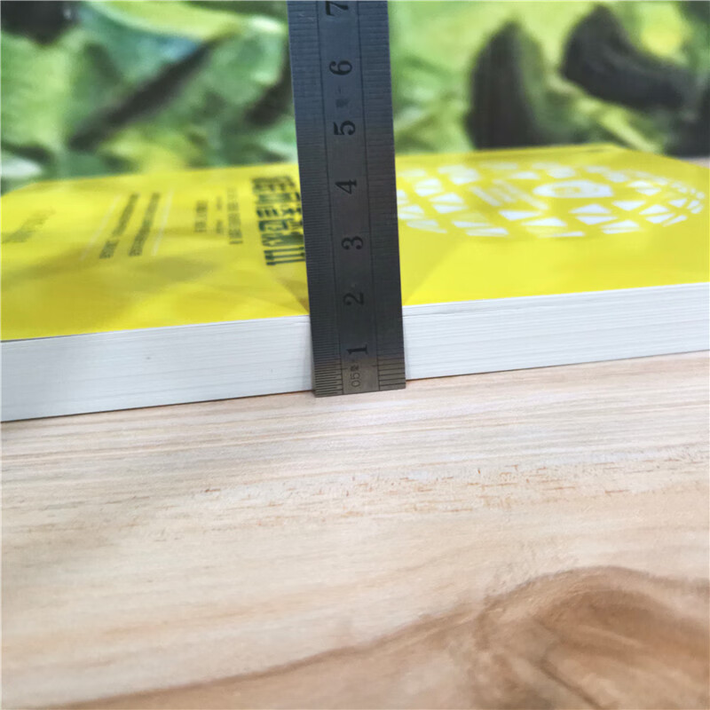 物联网渗透测试详情图