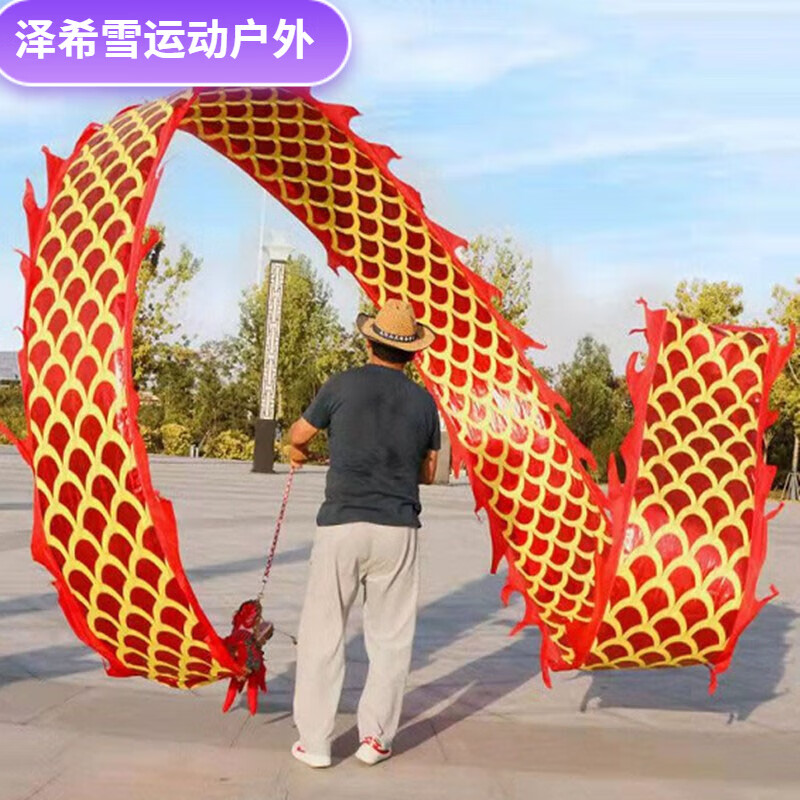 泽希雪广场舞健身舞龙彩带健身甩彩龙彩条龙头中老年人双面耍龙布 6米