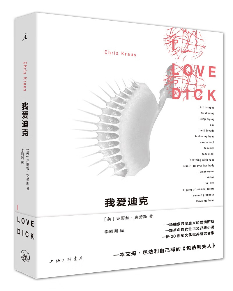 我爱迪克