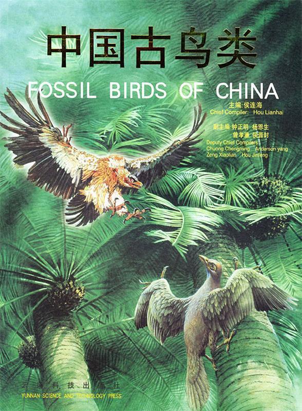 中国古鸟类 侯连海等 著【正版书】