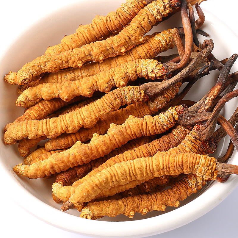 半山农冬虫夏草6条/克 1克 虫草 送长辈滋补品