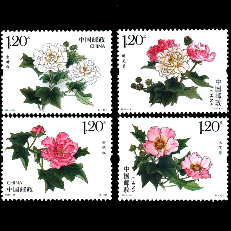 【藏邮】2021年邮票  2021-18《木芙蓉》特种邮票 2021-18 花卉 木