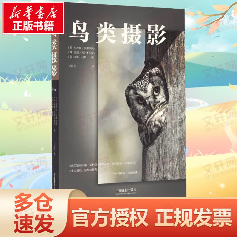 鸟类摄影