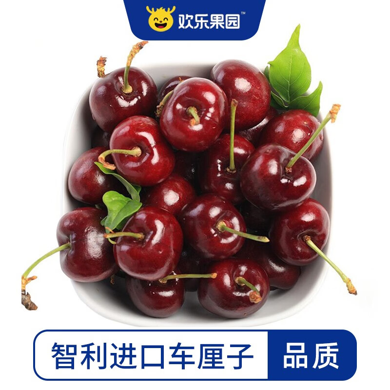 欢乐果园（Joy Tree）【预售】顺丰 智利进口车厘子新鲜水果 大樱桃应季当季整箱 -JS 中果 J 26-28mm 2斤（普通装）