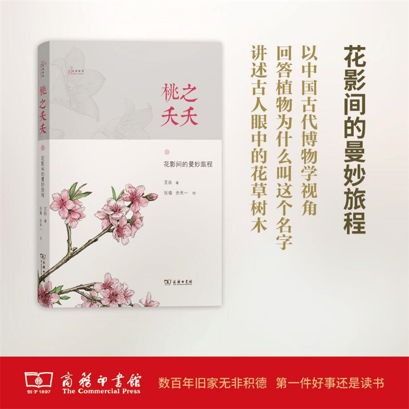 桃之夭夭：花影间的曼妙旅程