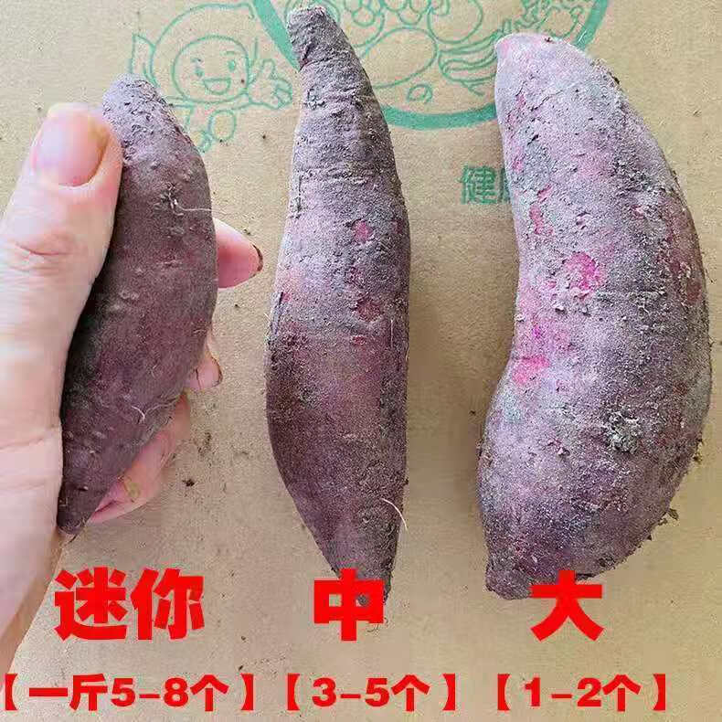 【精选S级】沙地紫薯批发新鲜番薯红薯地瓜蜜薯蔬菜2/5/9斤 沙地小紫薯【净重9斤装】