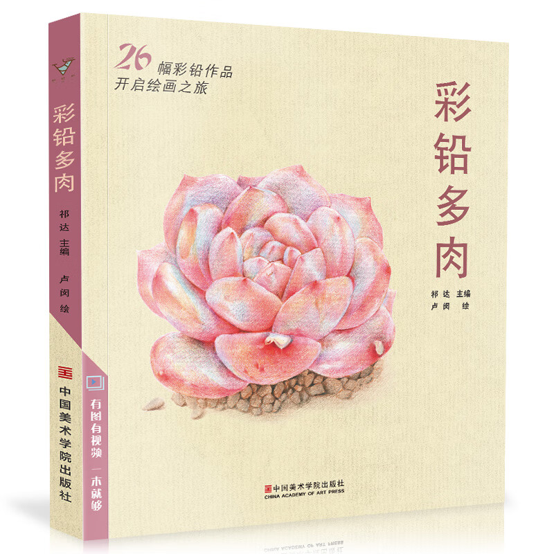 彩铅多肉 涂色画入门书 彩色铅漫画书画册本动漫植物花卉儿童入门临摹