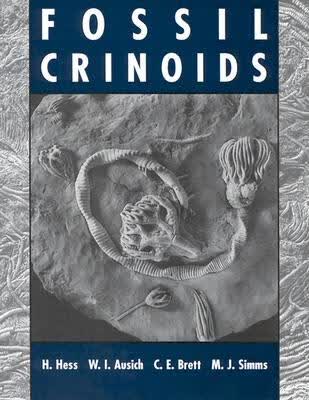 预订 Fossil Crinoids