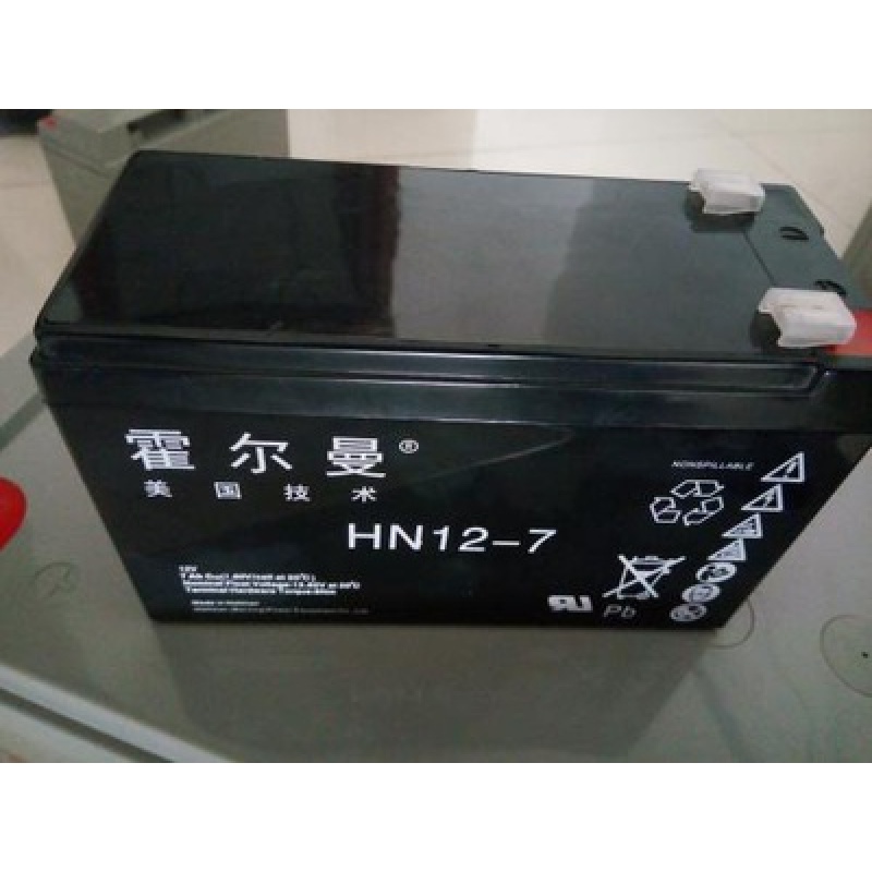 美国霍尔曼蓄电池hn12-10012v100ah17ah24ah38ah65a200a机房应急 12v7