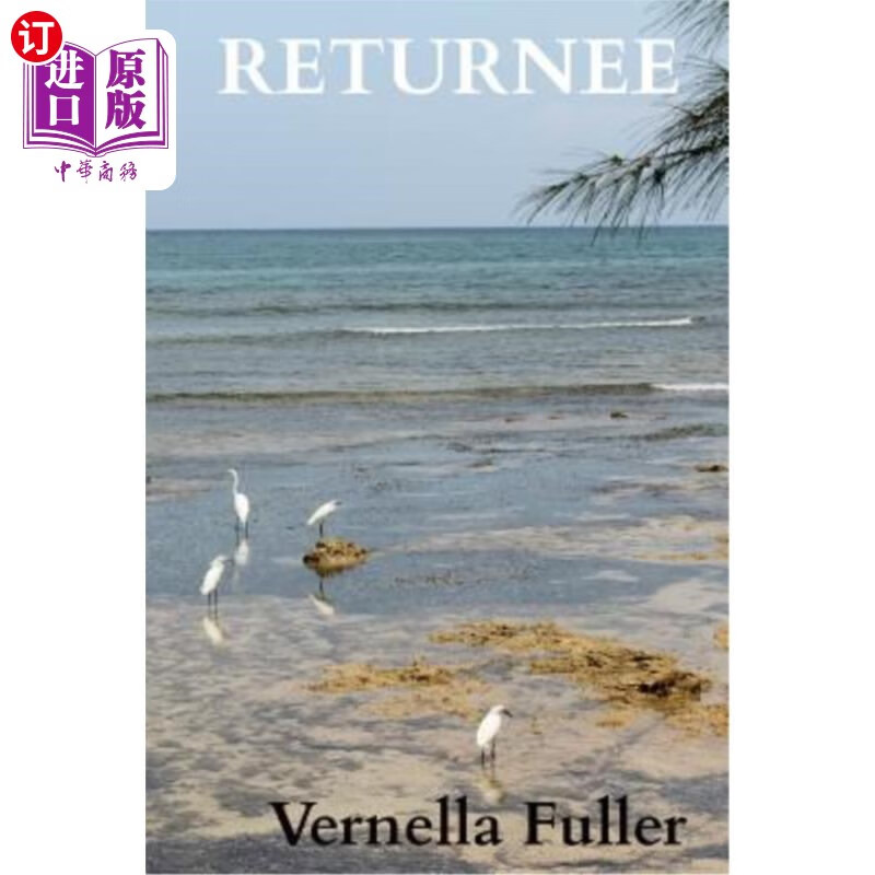 海外直订returnee 归国者