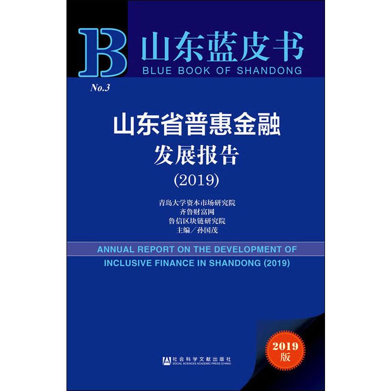 山东省普惠金融发展报告(2019) 2019版