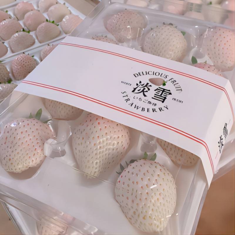 悠妃采缇 淡雪白草莓1斤牛奶白雪公主大草莓非日本进口新鲜水果2斤现