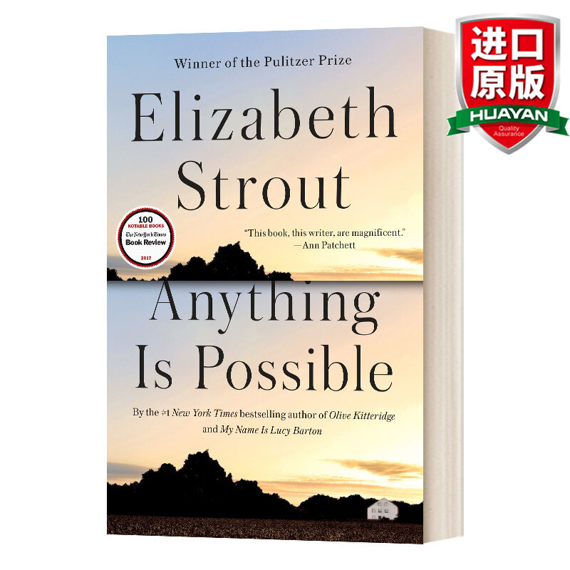 anything is possible 英文原版小说 一切皆有可能 英文版 进口英语