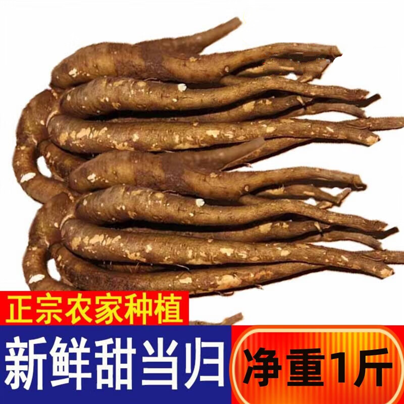云南新鲜甜当归西归芹根整根散装独角归1斤煲汤