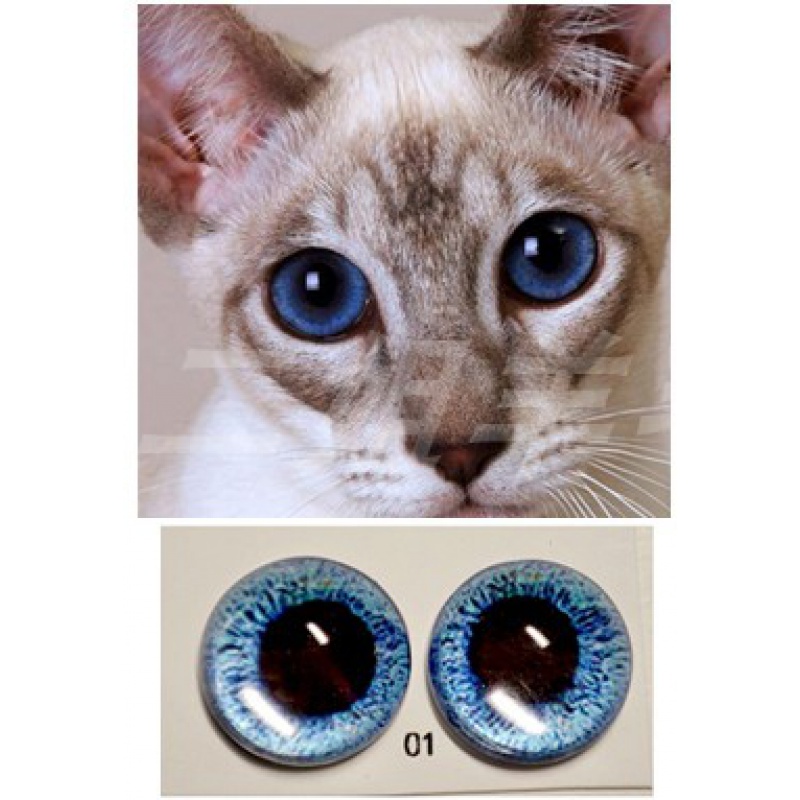 博桐梦动物眼睛珠子 扭扭龙眼睛 仿真动物眼睛动物玩偶眼睛配件diy