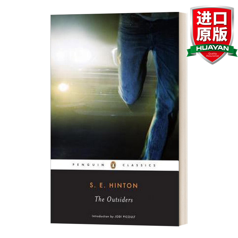 the outsiders 英文原版小说 外来者 英文版 进口英语原版书籍 企鹅