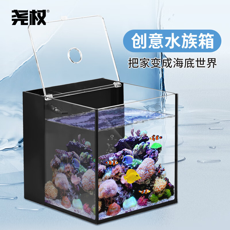 尧权背滤缸迷你生态水草 尧权背滤 好货推荐 轻舟网