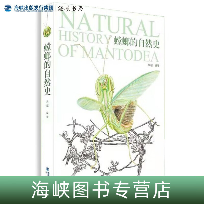 精装螳螂的自然史海峡书局吴超全彩页  昆虫图鉴幽灵兰花圆盾螳螂卵