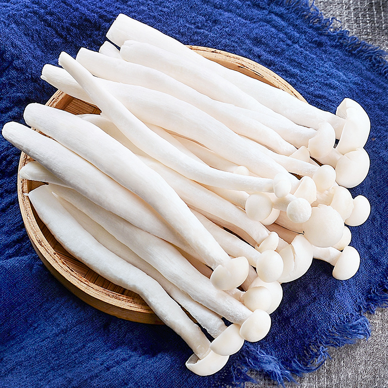 皓谦海鲜菇新鲜菇白玉菇斑煲汤 1斤 海鲜菇