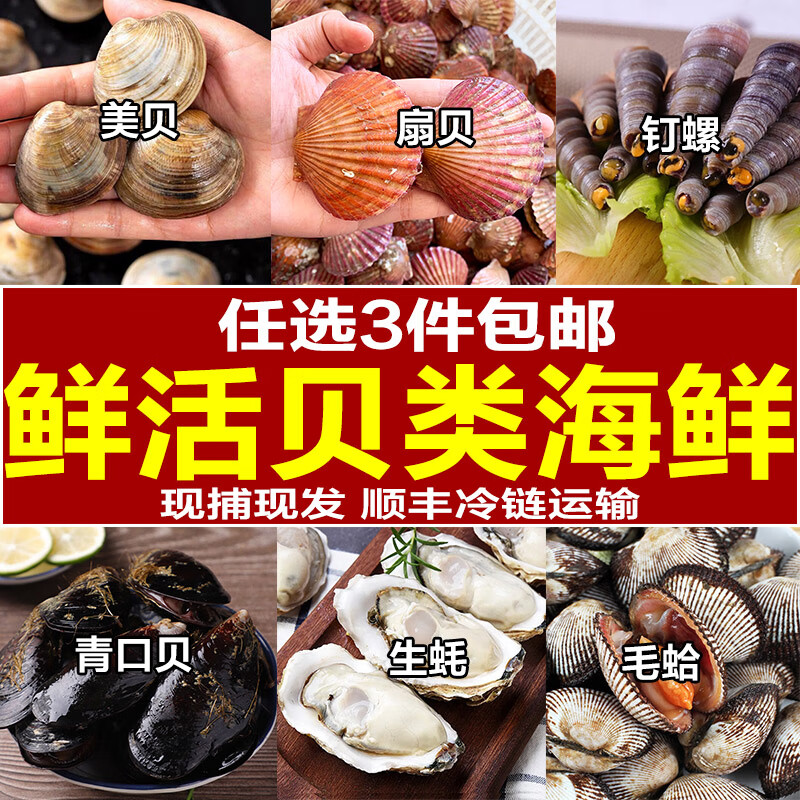 鲜活小海鲜贝类组合套餐青口贝扇贝生蚝新鲜捞汁小海鲜水产 青口贝2斤