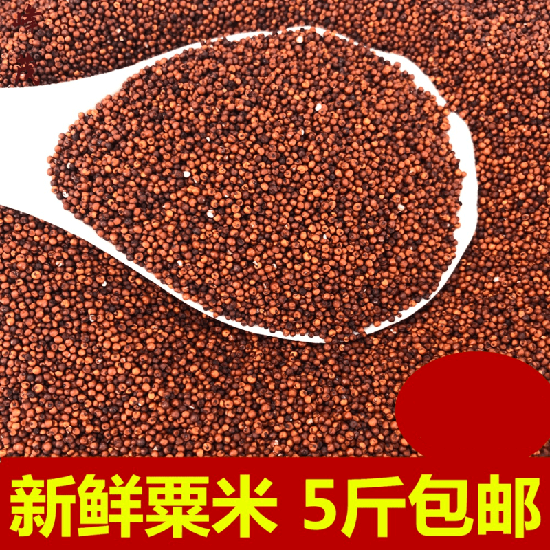 寄漪广西粟米粒龙爪粟拳头粟小枕头鸭脚粟米粥鸭脚栗米红色粟米粉