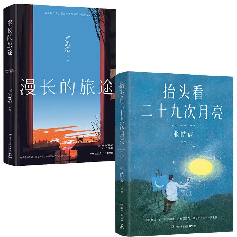 漫长的旅途+抬头看二十九次月亮（套装共2册）高性价比高么？