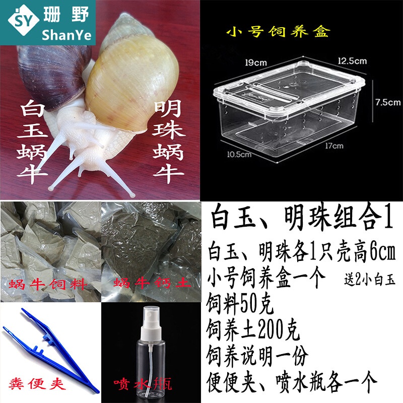 查园艺辅材商品历史价格走势|园艺辅材价格走势图