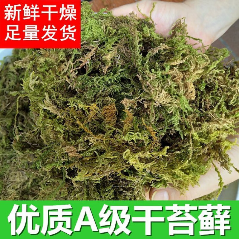 水苔】相关京东优惠商品排行榜- 价格图片品牌优惠券- 虎窝购