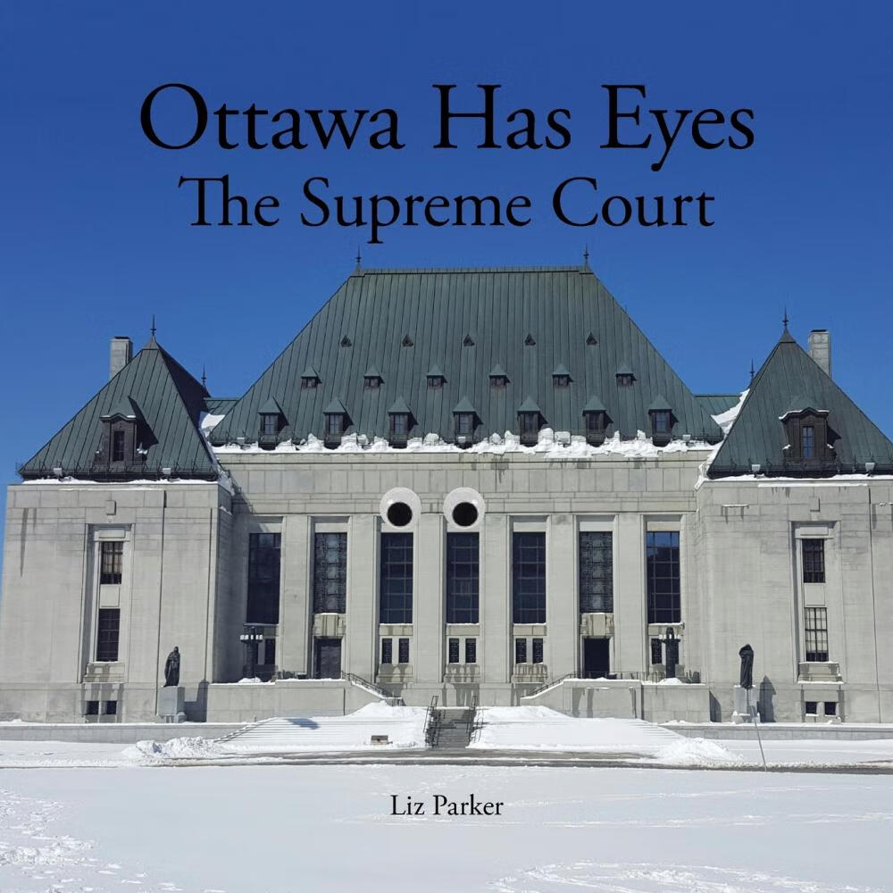 【预售 按需印刷】ottawa has eyes