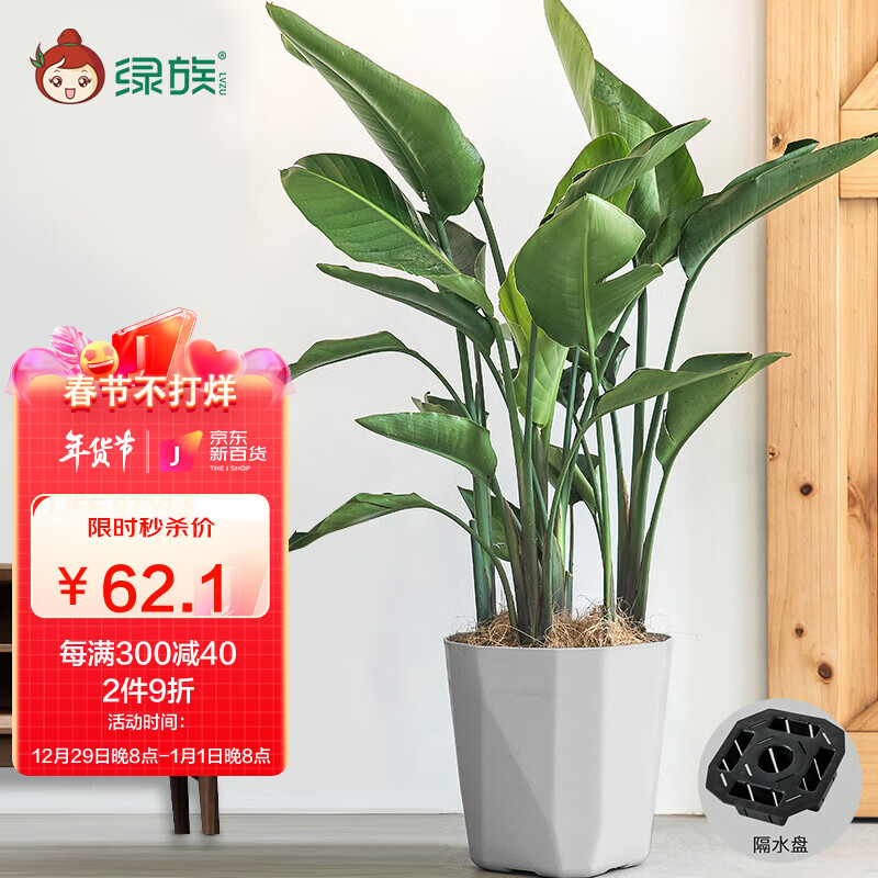 如何看花盆花器商品历史价格|花盆花器价格比较