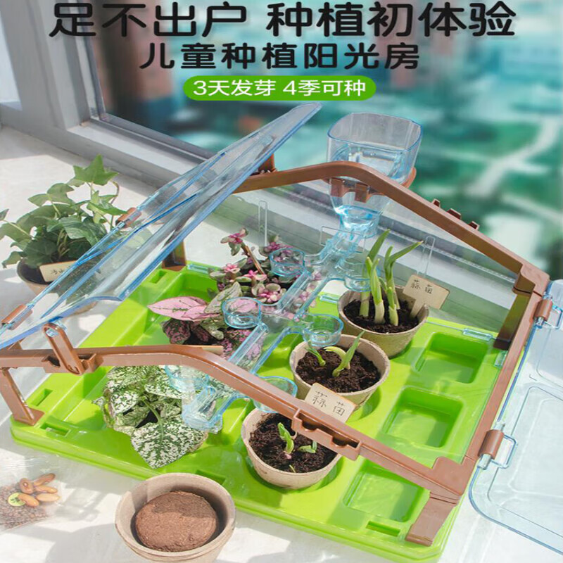 蒂米妮儿童种植小盆栽迷你植物生长观察种花种子小学生种菜幼儿园阳光房 阳光房-粉色双层款(16样种子+种