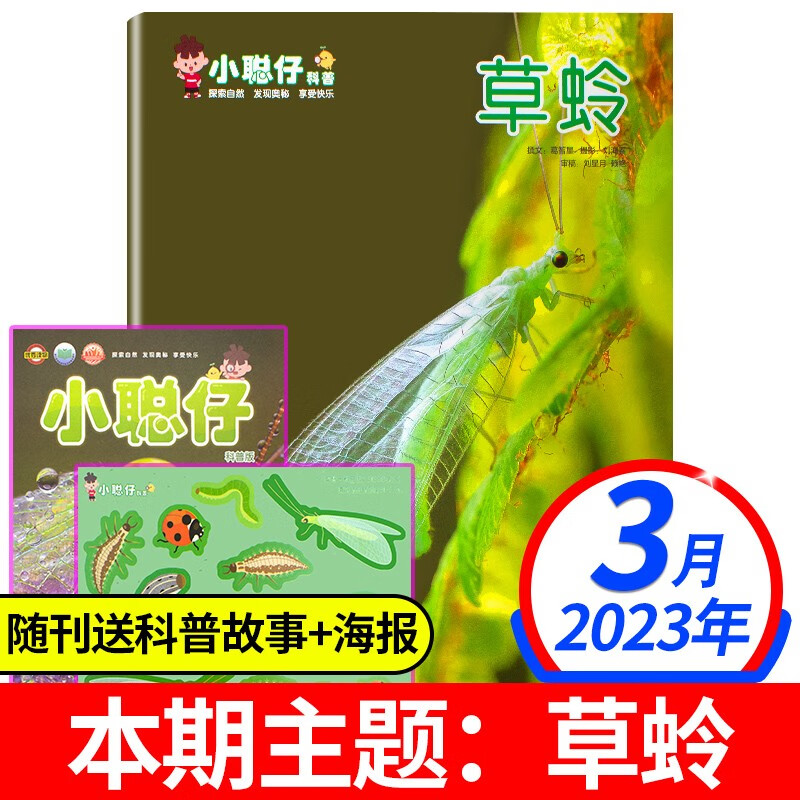 【6月新期到】小聪仔科普版杂志2023年【单本多期可选】幼儿益智兴趣智力开发低年级儿童科普百科自然探索奥秘非2022过期刊 2023年3月【草蛉】