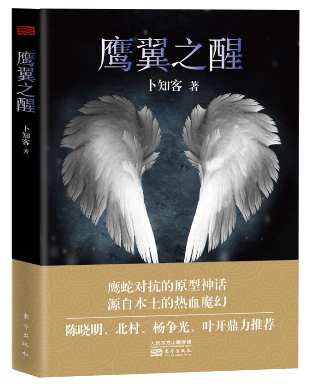 鹰翼之醒 小说 书籍