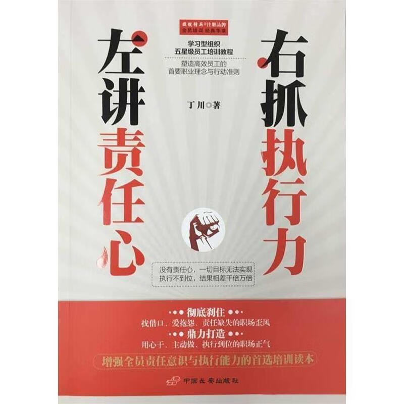 左讲责任心右抓执行力 丁川【正版】